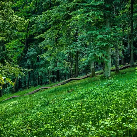 Enklawa Mikolajki (Mragowo)